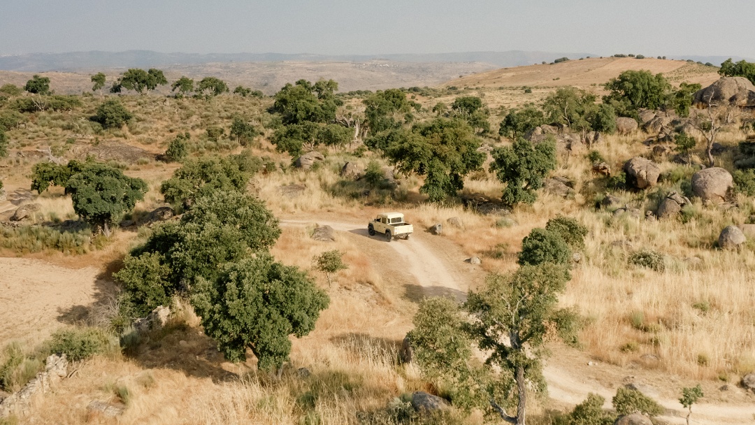 Semeando Eternal Forest na Faia Brava